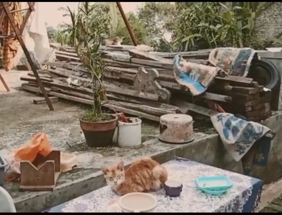 Eksplorasi Material pada Desain Kandang Kucing Berbasis DIY (Do it 